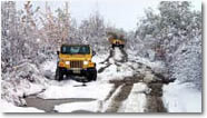 self-drive Jeep&reg; tour of the Denali